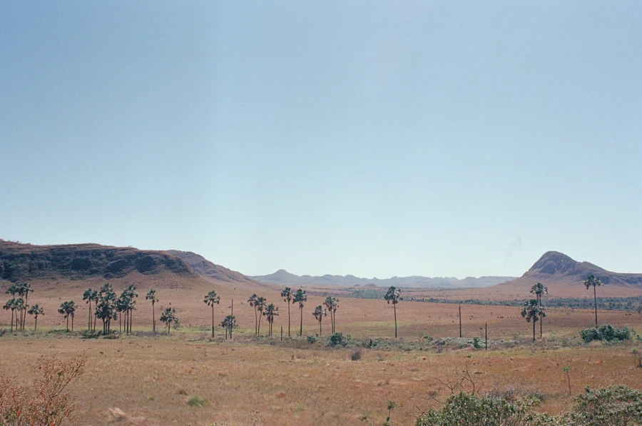 Analógico — fotografia 9
